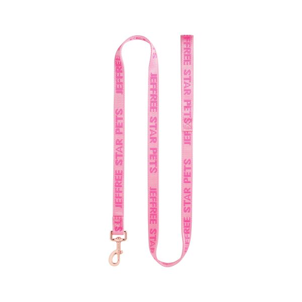 01PinkDogLeash-L.jpg