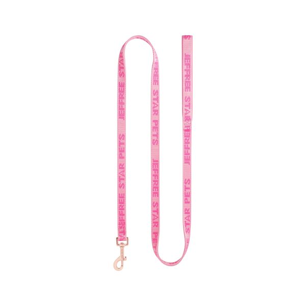 02PinkDogLeash-M.jpg