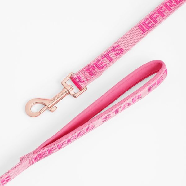 04PinkDogLeash-Detail.jpg